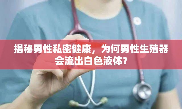 揭秘男性私密健康，為何男性生殖器會流出白色液體？