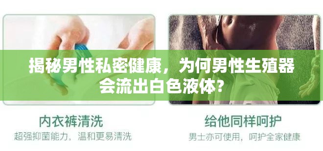 揭秘男性私密健康，為何男性生殖器會流出白色液體？