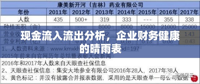現(xiàn)金流入流出分析，企業(yè)財(cái)務(wù)健康的晴雨表