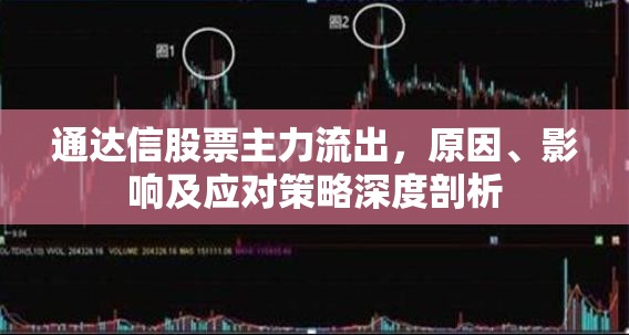 通達信股票主力流出，原因、影響及應對策略深度剖析