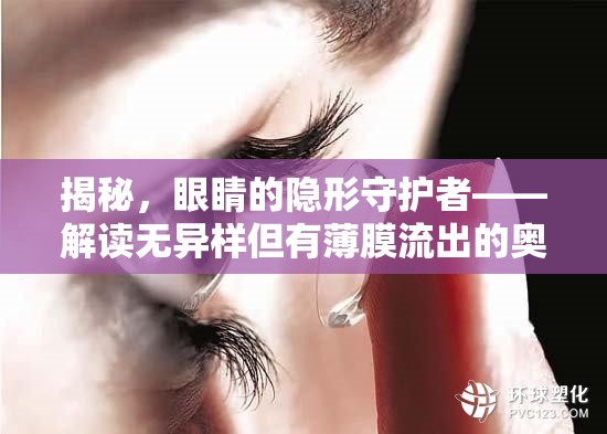 揭秘，眼睛的隱形守護者——解讀無異樣但有薄膜流出的奧秘