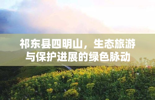 祁東縣四明山，生態(tài)旅游與保護(hù)進(jìn)展的綠色脈動(dòng)