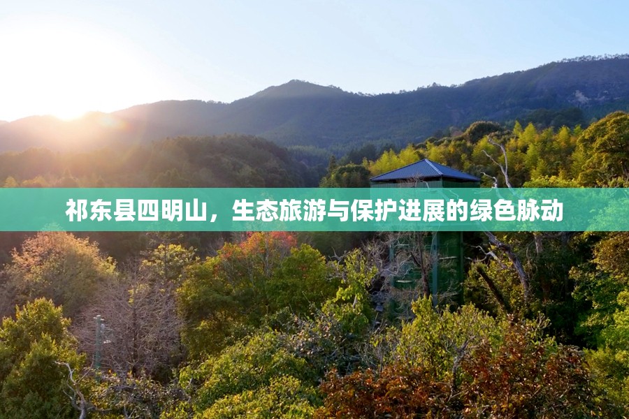 祁東縣四明山，生態(tài)旅游與保護(hù)進(jìn)展的綠色脈動(dòng)