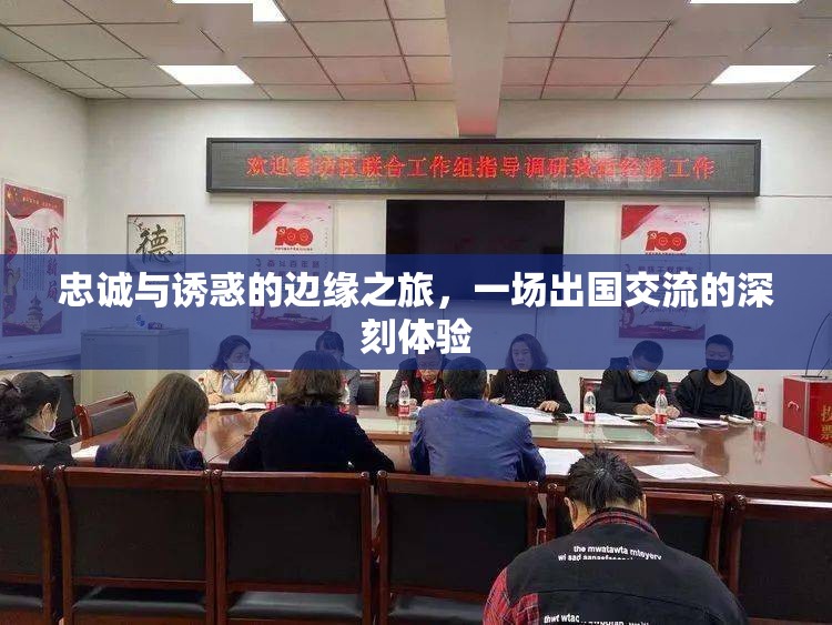 忠誠與誘惑的邊緣之旅，一場出國交流的深刻體驗(yàn)