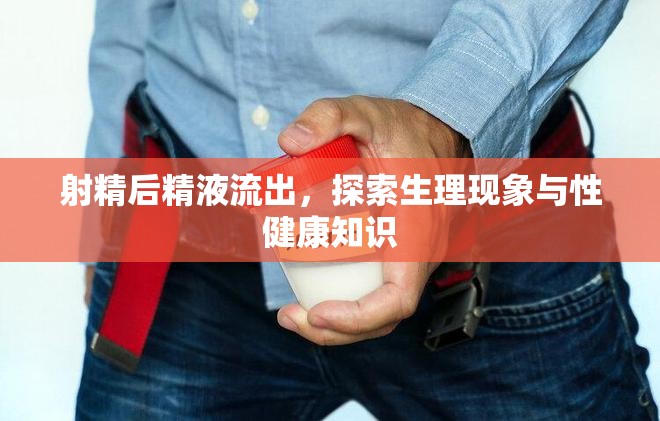 射精后精液流出，探索生理現(xiàn)象與性健康知識(shí)