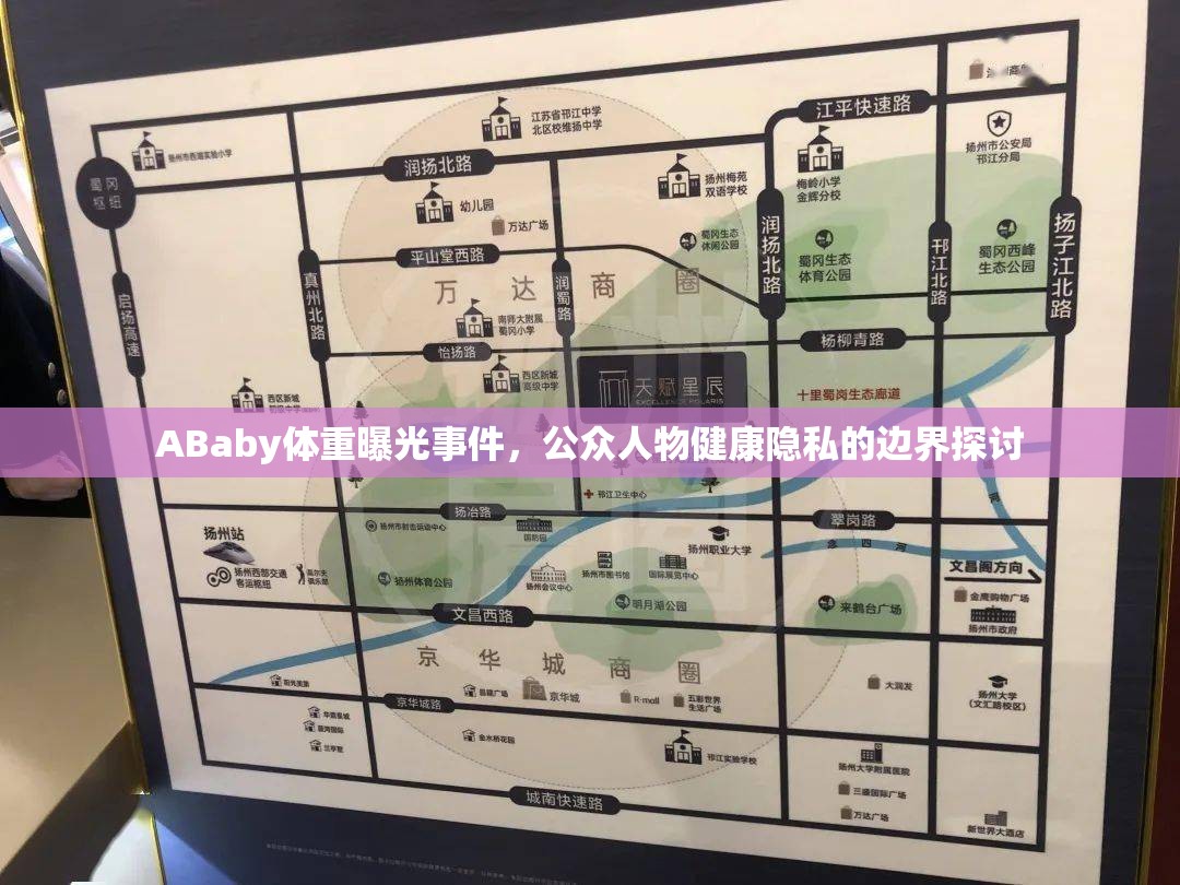 ABaby體重曝光事件，公眾人物健康隱私的邊界探討