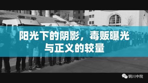 陽光下的陰影，毒販曝光與正義的較量