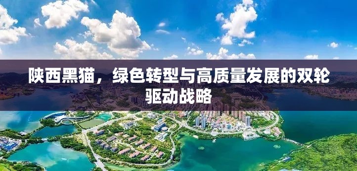 陜西黑貓，綠色轉(zhuǎn)型與高質(zhì)量發(fā)展的雙輪驅(qū)動戰(zhàn)略