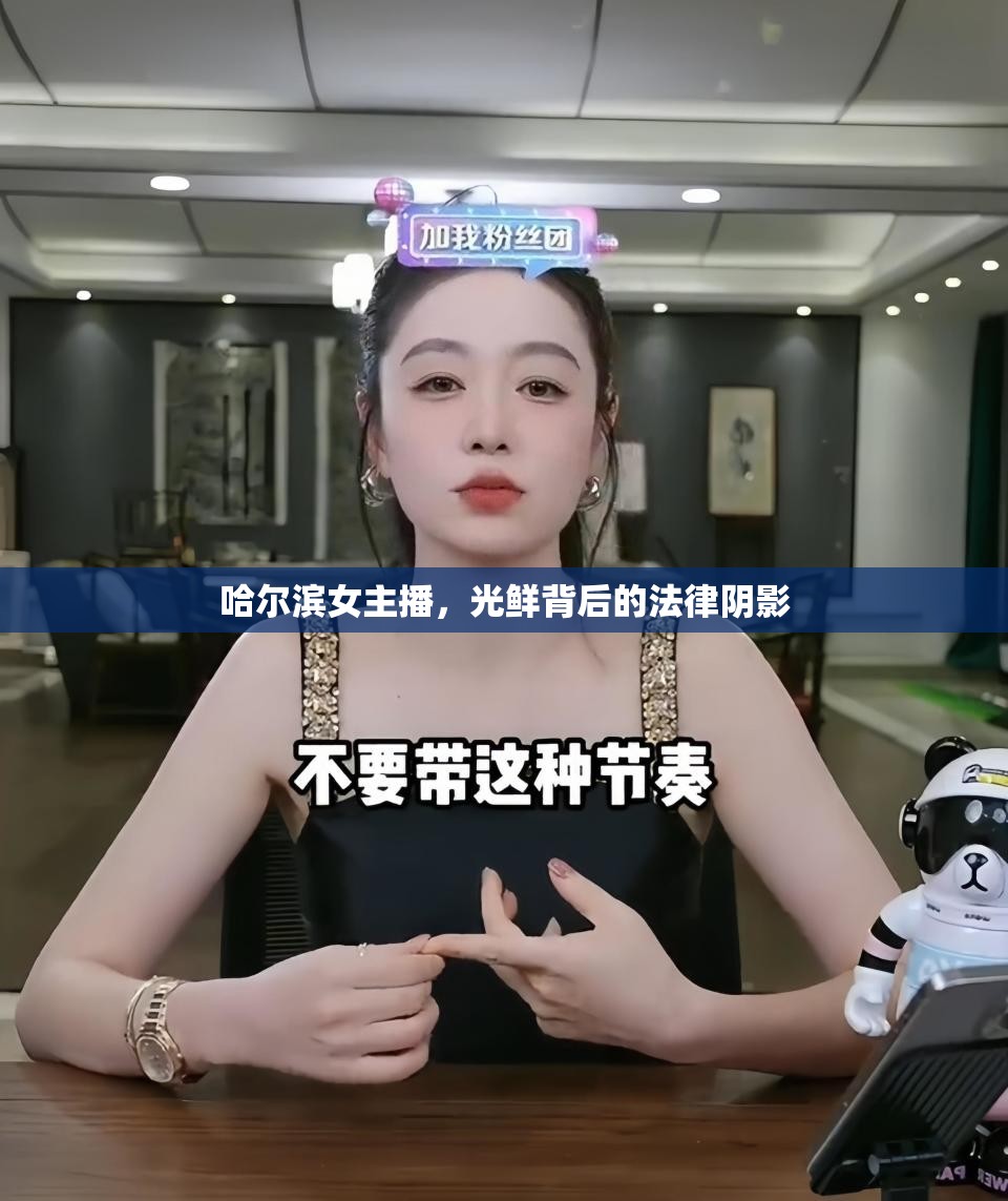 哈爾濱女主播，光鮮背后的法律陰影