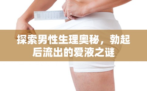 探索男性生理奧秘，勃起后流出的愛液之謎