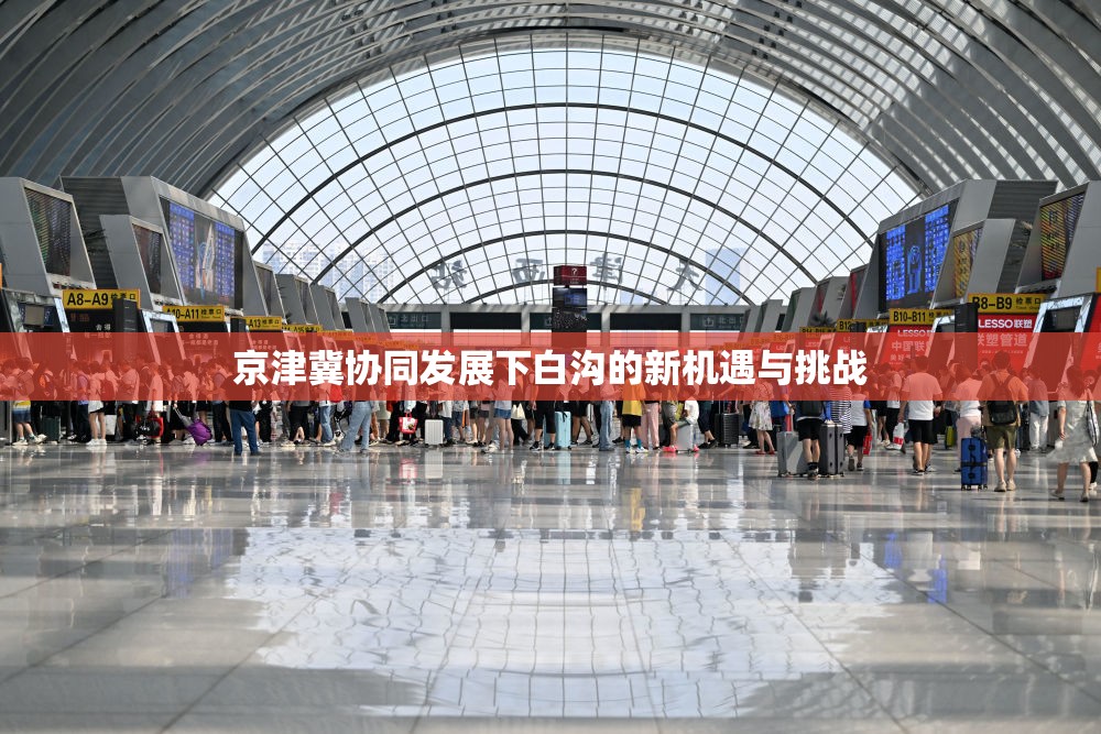 京津冀協(xié)同發(fā)展下白溝的新機(jī)遇與挑戰(zhàn)