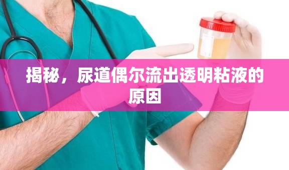 揭秘，尿道偶爾流出透明粘液的原因