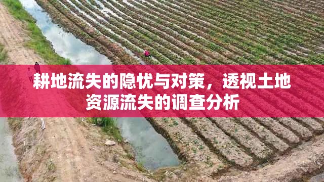 耕地流失的隱憂與對(duì)策，透視土地資源流失的調(diào)查分析