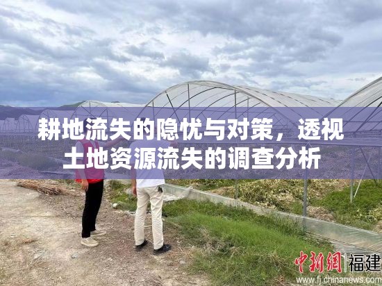 耕地流失的隱憂與對(duì)策，透視土地資源流失的調(diào)查分析