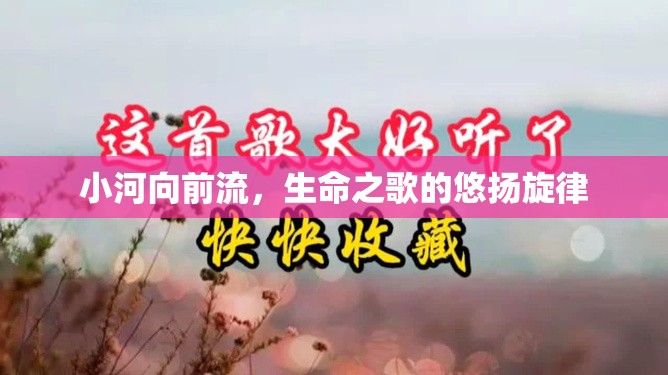 小河向前流，生命之歌的悠揚旋律