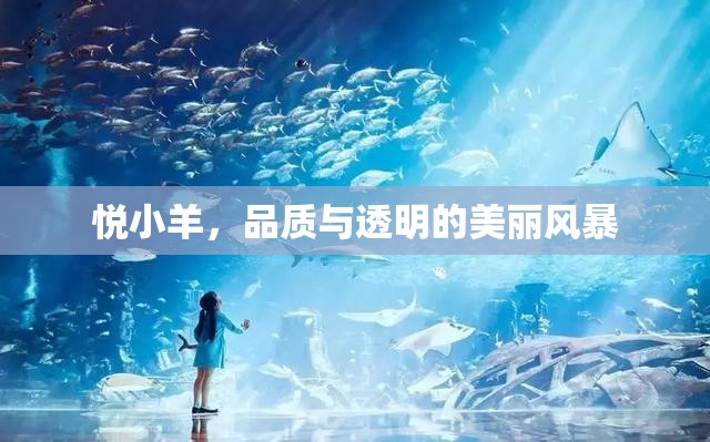 悅小羊，品質(zhì)與透明的美麗風暴