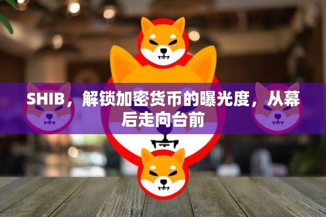 SHIB，解鎖加密貨幣的曝光度，從幕后走向臺(tái)前