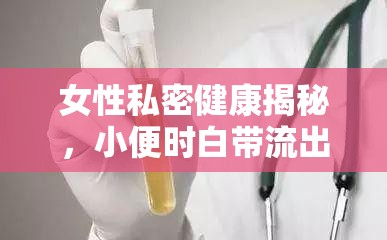 女性私密健康揭秘，小便時(shí)白帶流出的真相