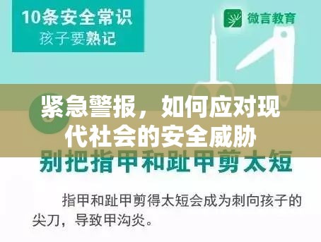 緊急警報(bào)，如何應(yīng)對(duì)現(xiàn)代社會(huì)的安全威脅
