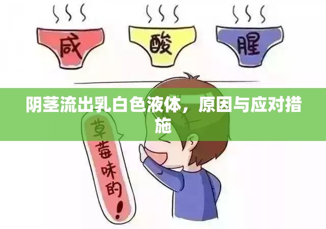 陰莖流出乳白色液體，原因與應(yīng)對措施