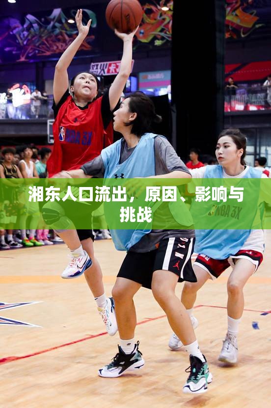 湘東人口流出，原因、影響與挑戰(zhàn)