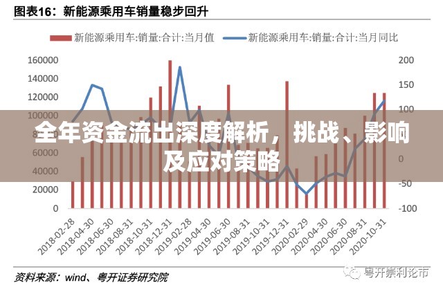 全年資金流出深度解析，挑戰(zhàn)、影響及應對策略