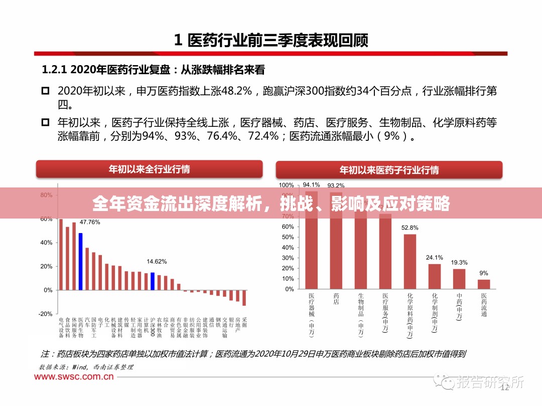 全年資金流出深度解析，挑戰(zhàn)、影響及應對策略