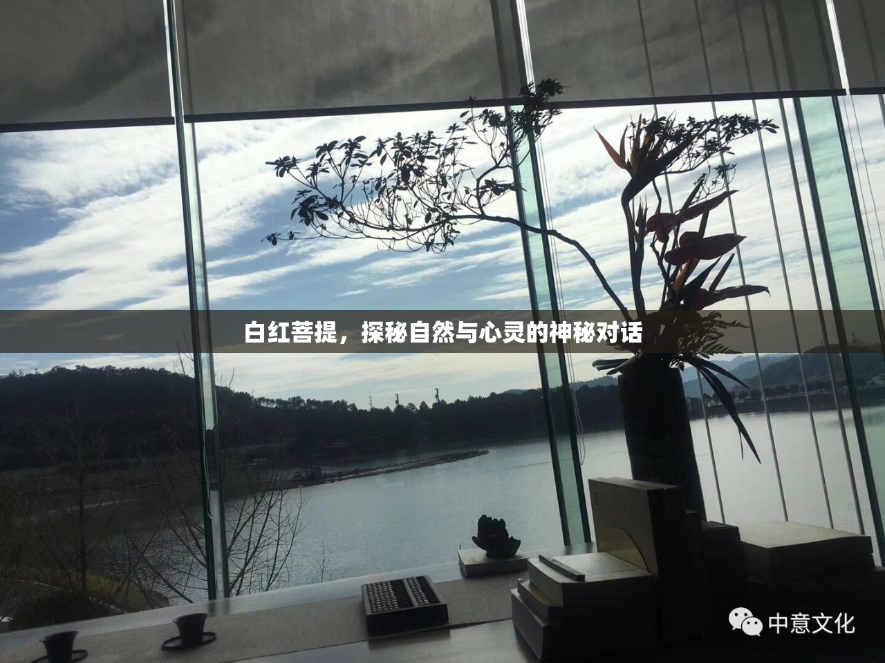 白紅菩提，探秘自然與心靈的神秘對(duì)話