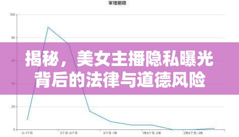揭秘，美女主播隱私曝光背后的法律與道德風(fēng)險