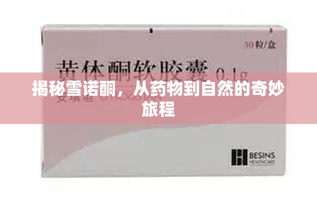 揭秘雪諾酮，從藥物到自然的奇妙旅程