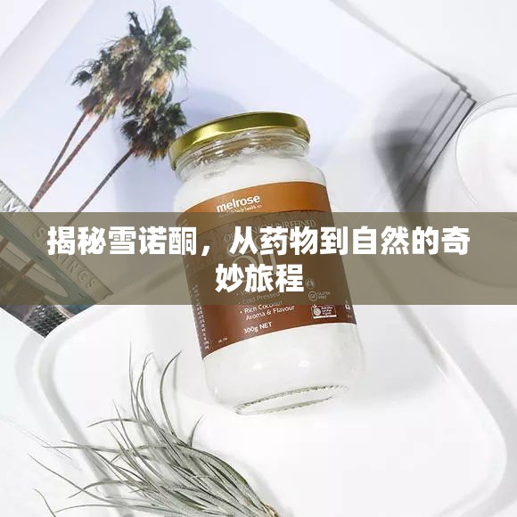 揭秘雪諾酮，從藥物到自然的奇妙旅程