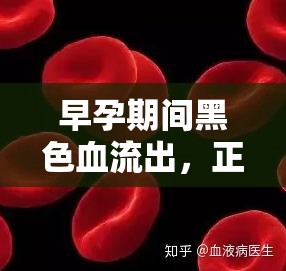 早孕期間黑色血流出，正常嗎？你需要了解的真相