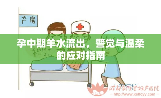 孕中期羊水流出，警覺與溫柔的應對指南