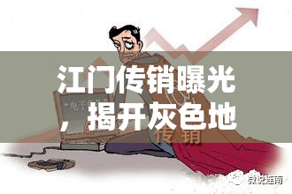 江門傳銷曝光，揭開灰色地帶的罪惡面紗