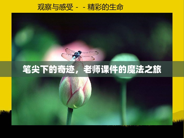 筆尖下的奇跡，老師課件的魔法之旅