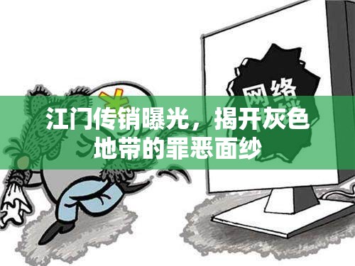 江門傳銷曝光，揭開灰色地帶的罪惡面紗