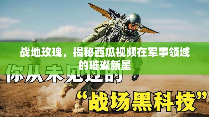 戰(zhàn)地玫瑰，揭秘西瓜視頻在軍事領(lǐng)域的璀璨新星