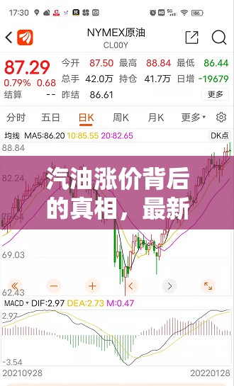 汽油漲價背后的真相，最新消息與深度解析