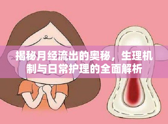 揭秘月經(jīng)流出的奧秘，生理機(jī)制與日常護(hù)理的全面解析