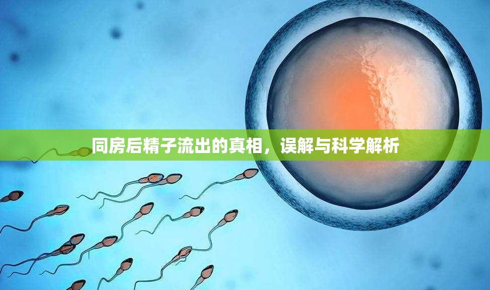 同房后精子流出的真相，誤解與科學(xué)解析