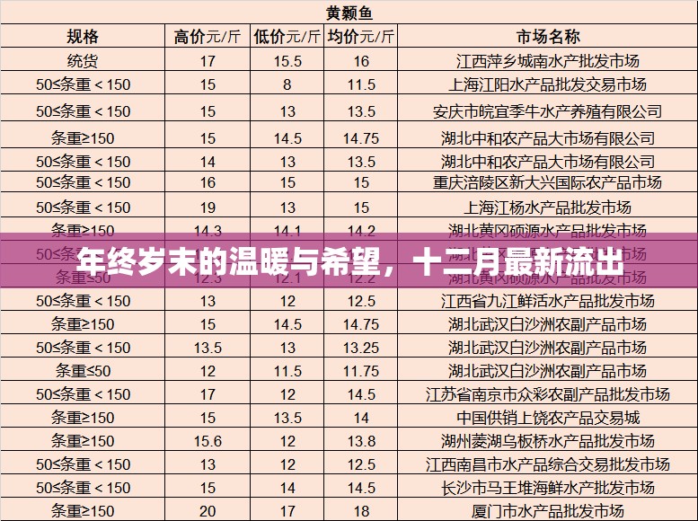 年終歲末的溫暖與希望，十二月最新流出