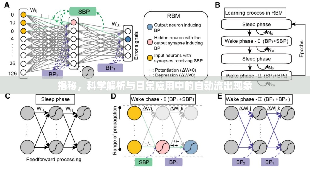 揭秘，科學(xué)解析與日常應(yīng)用中的自動(dòng)流出現(xiàn)象
