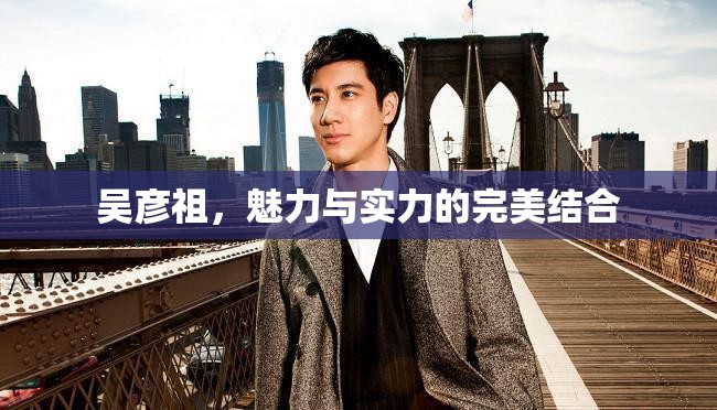 吳彥祖，魅力與實(shí)力的完美結(jié)合
