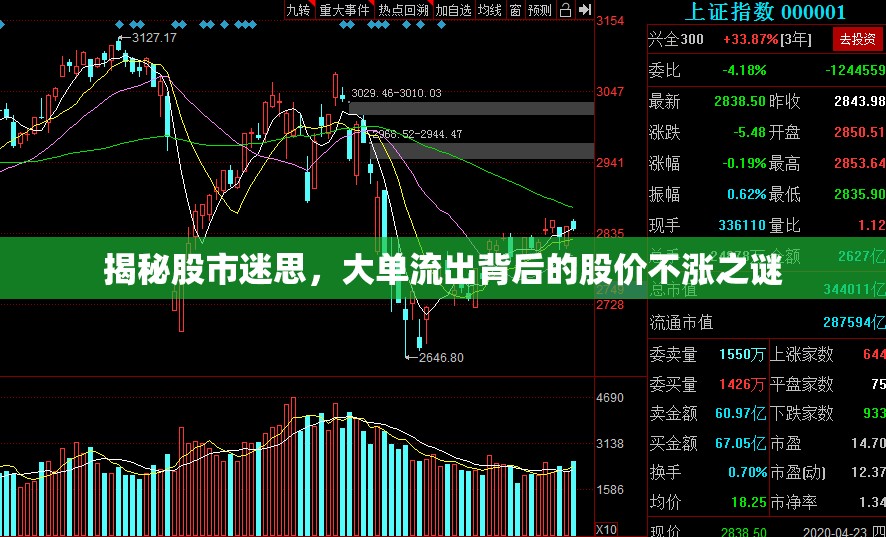 揭秘股市迷思，大單流出背后的股價不漲之謎