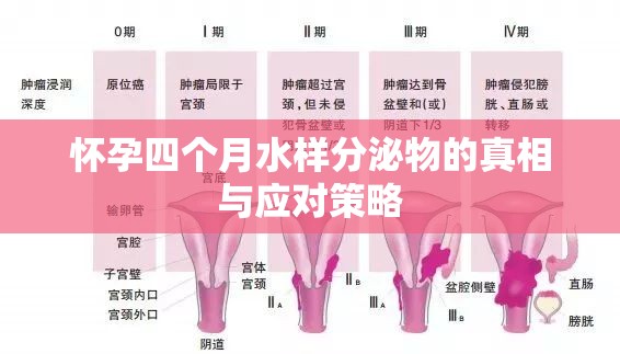 懷孕四個(gè)月水樣分泌物的真相與應(yīng)對(duì)策略