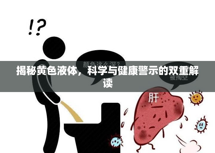 揭秘黃色液體，科學(xué)與健康警示的雙重解讀