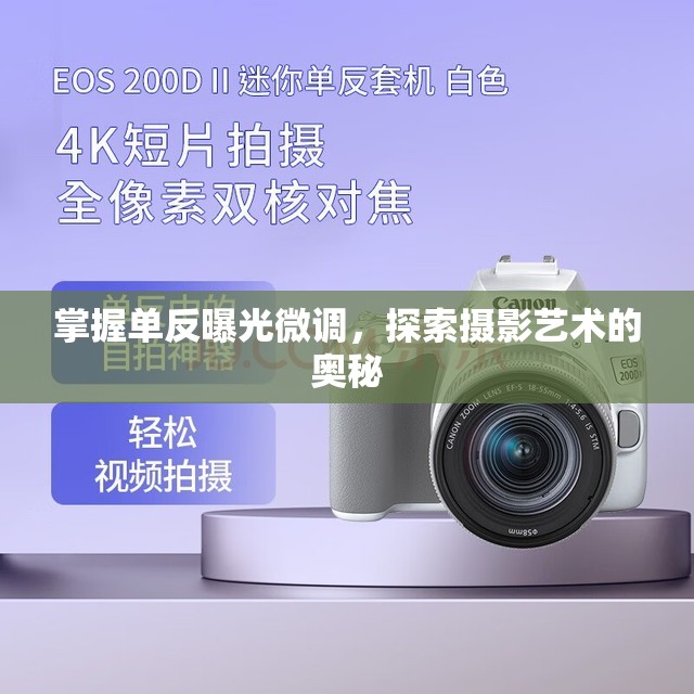掌握單反曝光微調(diào)，探索攝影藝術(shù)的奧秘