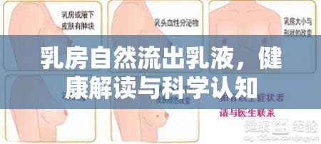 乳房自然流出乳液，健康解讀與科學(xué)認(rèn)知