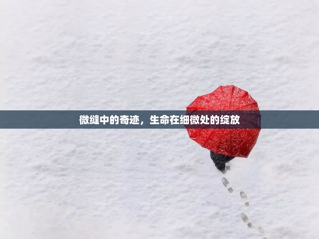 微縫中的奇跡，生命在細(xì)微處的綻放