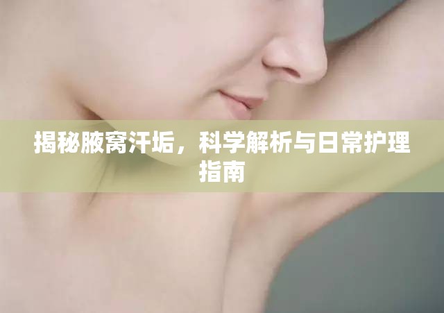 揭秘腋窩汗垢，科學(xué)解析與日常護理指南
